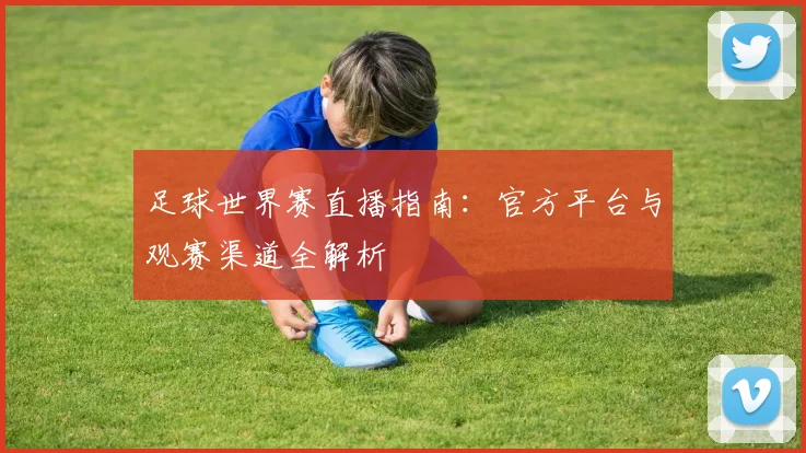 足球世界赛直播指南：官方平台与观赛渠道全解析